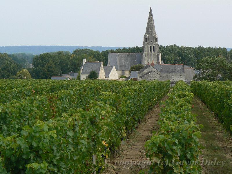Church amongs the vineyards P1130358.JPG
